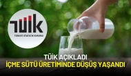 TÜİK Verilerine Göre Mayıs Ayında İçme Sütü Üretiminde Düşüş Yaşandı