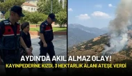 Aydın'da Akıl Almaz Olay! Kayınpederine Kızdı, 3 Hektarlık Alanı Ateşe Verdi