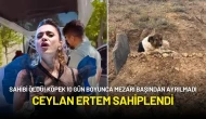 Sadık Köpek Sahibinin Mezarı Başından 10 Gün Boyunca Ayrılmadı! Ceylan Ertem Sahiplendi