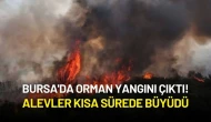 Bursa'da Orman Yangını Çıktı!