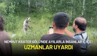 Nemrut Krater Gölü'nde Ayılarla İnsanlar İç İçe! Uzmanlar Uyardı