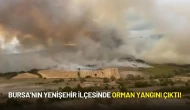 Bursa’nın Yenişehir İlçesinde Orman Yangını Çıktı!