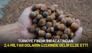 Türkiye Fındık İhracatından 2,4 Milyar Doların Üzerinde Gelir Elde Etti