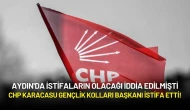 Aydın'da İstifaların Olacağı İddia Edilmişti: CHP Karacasu Gençlik Kolları Başkanı İstifa Etti!