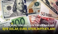 Döviz Kuru Yeni Haftaya Yüksek Başladı: İşte Dolar, Euro, Sterlin Fiyatları!