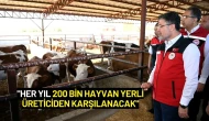 Bakan Yumaklı: "Her Yıl 200 Bin Hayvan Yerli Üreticiden Karşılanacak"