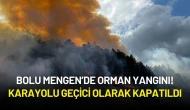 Bolu Mengen’de Orman Yangını: Karayolu Geçici Olarak Kapatıldı!