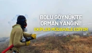 Bolu Göynük'te Orman Yangını Çıktı!
