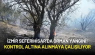 İzmir Seferihisar’da Orman Yangını! Kontrol Altına Alınmaya Çalışılıyor