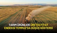 Tarım Ürünleri Üretici Fiyat Endeksi Temmuz’da Düşüş Gösterdi
