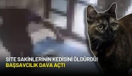 Site Sakinlerinin Kedisini Öldürdü! Başsavcılık Dava Açtı
