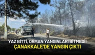 Yaz Bitti, Orman Yangınları Bitmedi! Çanakkale'de Yangın Çıktı