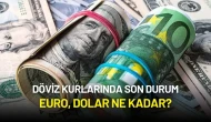 Döviz Kurlarında Son Durum: Euro, Dolar Ne Kadar?