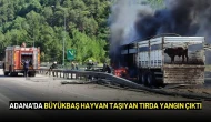 Adana'da Büyükbaş Hayvan Taşıyan Tırda Yangın Çıktı