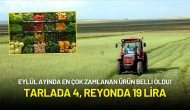 Eylül Ayında En Çok Zamlanan Ürün Belli Oldu! Tarlada 4, Reyonda 19 Lira