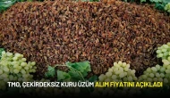TMO, Çekirdeksiz Kuru Üzüm Alım Fiyatını Açıkladı