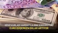 Döviz Kurları Hareketli! Euro Düşerken Dolar Artıyor