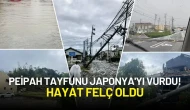 Peipah Tayfunu Japonya'yı Vurdu! Hayat Felç Oldu