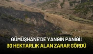 Gümüşhane'de Yangın Paniği: 30 Hektarlık Alan Zarar Gördü!