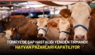 Türkiye'de Şap Hastalığı Yeniden Tırmandı! Hayvan Pazarları Kapatılıyor