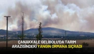 Çanakkale Gelibolu'da Tarım Arazisindeki Yangın Ormana Sıçradı