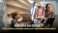 Ankara’da Dehşet: Kedileri Beslediği İçin Komşuları Tarafından Darp Edildi!