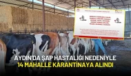 Aydın’da Şap Hastalığı Nedeniyle 14 Mahalle Karantinaya Alındı