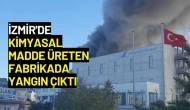 İzmir'de Kimyasal Madde Üreten Fabrikada Yangın Çıktı