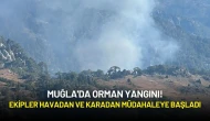 Muğla'da Orman Yangını: Ekipler Havadan ve Karadan Müdahaleye Başladı