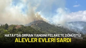 Hatay’da Orman Yangını Felakete Dönüştü! Alevler Evleri Sardı