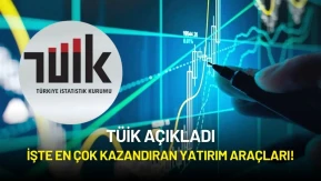 TÜİK Temmuz'da En Yüksek Getirili Yatırım Aracını Açıkladı