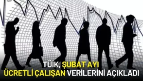 TÜİK, 2025 Şubat Ayı Ücretli Çalışan Verilerini Açıkladı