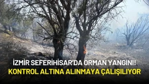 İzmir Seferihisar’da Orman Yangını! Kontrol Altına Alınmaya Çalışılıyor