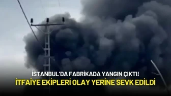 İstanbul’da Fabrikada Yangın Çıktı! İtfaiye Ekipleri Olay Yerine Sevk Edildi