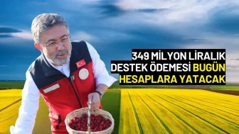 Bakan Yumaklı Açıkladı: 349 Milyon Liralık Destek Ödemesi Bugün Hesaplara Yatacak