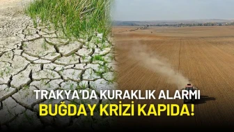 Trakya’da Kuraklık Alarmı: Buğday Krizi Kapıda!