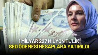 Ailelere Müjde! 1 Milyar 227 Milyon TL’lik SED Ödemesi Hesaplara Yatırıldı