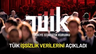 TÜİK 2025 İlk Çeyrek İşsizlik Verilerini Açıkladı