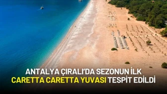 Antalya Çıralı’da Sezonun İlk Caretta Caretta Yuvası Tespit Edildi: Koruma Önlemleri Başladı