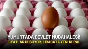 Yumurtada Devlet Müdahalesi! Fiyatlar Düşüyor, İhracata Yeni Kural