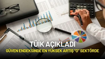 TÜİK Açıkladı: Güven Endeksinde En Yüksek Artış "O" Sektörde