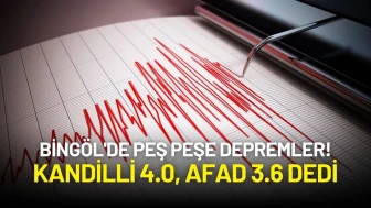 Bingöl'de Peş Peşe Depremler! AFAD ve Kandilli’den Açıklama Geldi