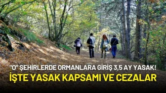 "O" Şehirlerde Ormanlara Giriş 3,5 Ay Yasak! İşte Yasak Kapsamı ve Cezalar
