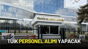 TÜİK Personel Alımı Yapacak: 12 Uzman Yardımcısı İstihdam Edilecek