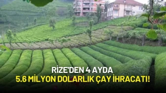 Rize'den 4 Ayda 5.6 Milyon Dolarlık Çay İhracatı! Yeni Pazarlar Dikkat Çekti