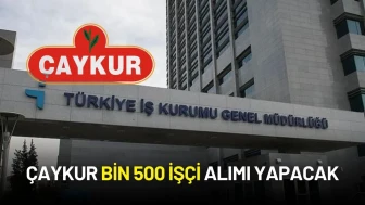 ÇAYKUR İşçi Alımı Başvuruları Başladı: İŞKUR Üzerinden Kayıt Yaptırılacak