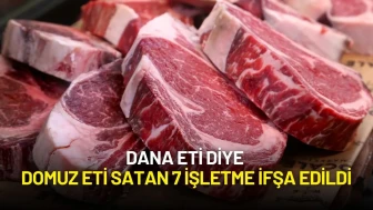 Dana Eti Diye Domuz Eti Satan 7 İşletme İfşa Edildi