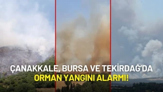 Çanakkale, Bursa ve Tekirdağ’da Orman Yangını Alarmı!