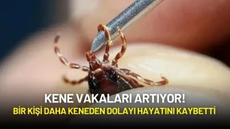 Kene Vakaları Artıyor! Bir Kişi Daha Keneden Dolayı Hayatını Kaybetti