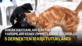 Sokak Hayvanları İçin Toplanan Yardımları Kendi Zimmetlerine Geçiren 5 Dernekten 10 Kişi Tutuklandı